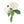 Natuurlijke bloemenprint