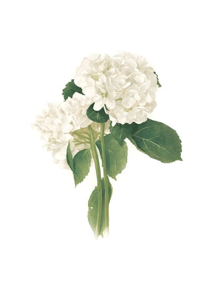 Natuurlijke bloemenprint