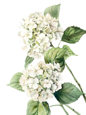 Zachte, elegante hortensia wanddecoratie