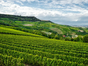 Natuurlijke schoonheid van wijngaarden