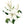 Natuurlijke weergave van lelies