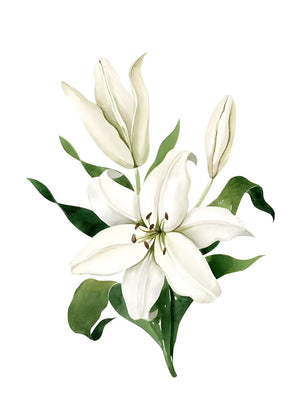 Natuurlijke weergave van lelies