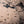 Artistieke kaart van de wereld