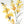 Elegante bloemenillustratie