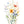 Bloemenillustratie met levendige tinten