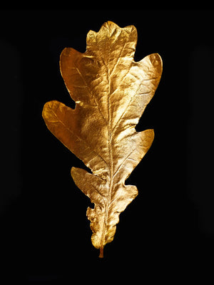 Elegant goudkleurig blad voor wand