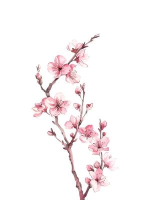 Schilderij van bloeiende tak
