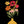 Vrolijke bloemen schilderij