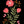 Kunstwerk met kleurrijke bloemen