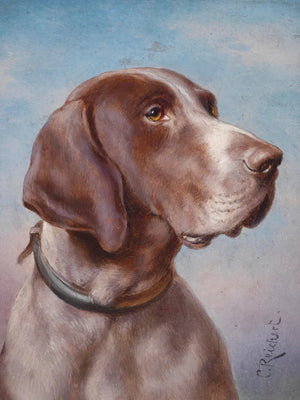 Charmant portret van een hond