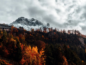 Herfstkleuren in de bergen