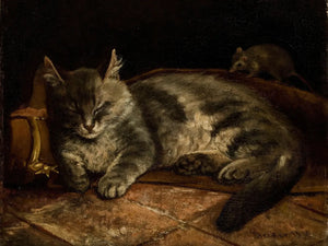 Huiselijke kat en muis