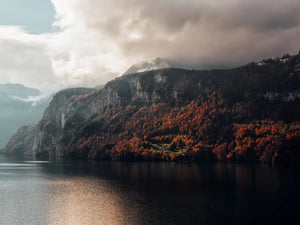 Adembenemende natuur bij het meer