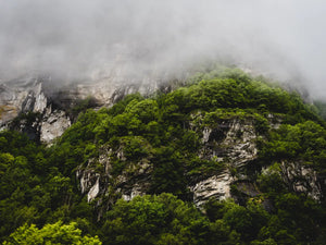 Mistige bergen en weelderige natuur