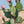 Cactus in woestijnlandschap