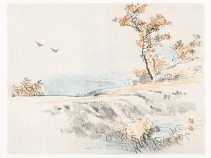 Stillevens van natuur en water