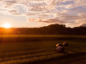 Prachtige natuur bij zonsondergang