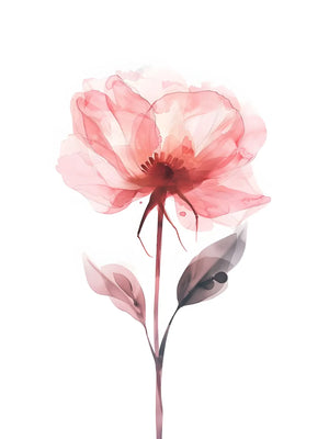 Elegante rozebloem afbeelding