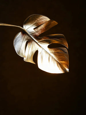 Elegante wanddecoratie met bladeren