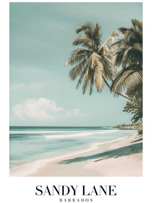 Palmbomen aan de kust