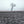 Winterse landschapsprint met boom