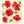 Kyoto bloemenillustratie