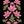Levendige bloemenprint voor huis