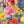 Schilderij van kleurrijke bloemen