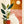 Kunstprint van kat en plant