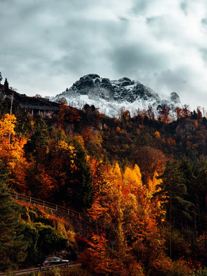 Schilderachtige herfsttafel met kleuren